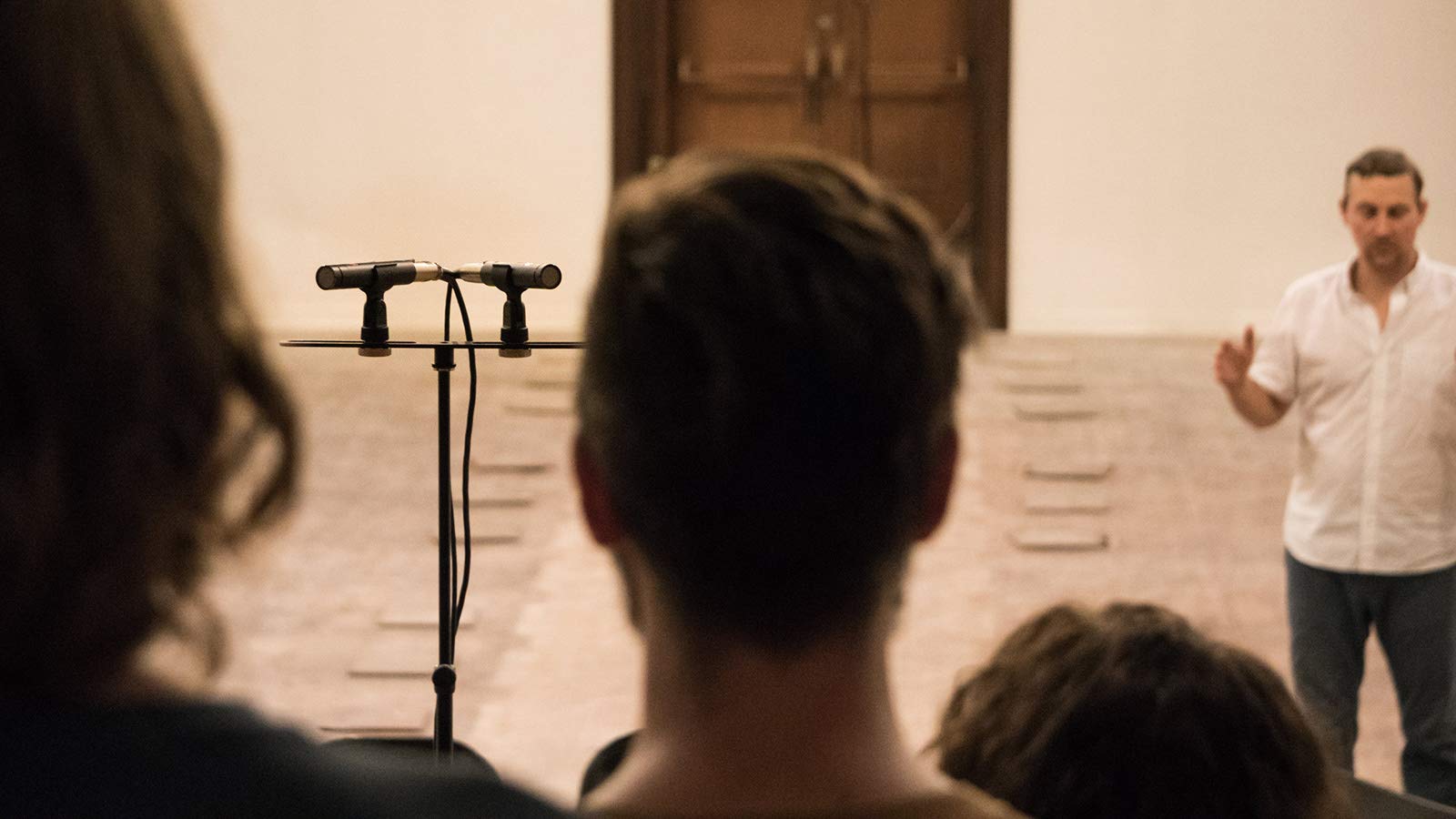 Amazon | sE Electronics sE8 omni Capsule Pair sE8 専用オムニ(無